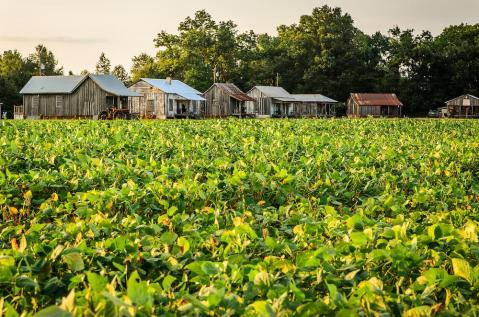 There’s A Themed Hotel In The Middle Of Nowhere In Mississippi You’ll Absolutely Love