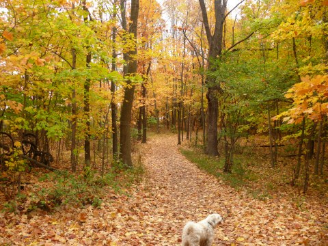 10 Epic Hiking Spots Around Columbus That Are Completely Out Of This World