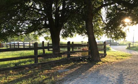 The Breakfast At This Farmside Cafe In Kansas Is A Dream Come True