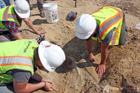 A Triceratops Skull Was Just Unearthed In Colorado And It's Nothing Short Of Amazing