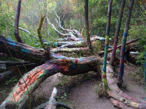 This Creepy Spot Deep In The Woods Of Michigan Is Like Something Out Of A Horror Movie