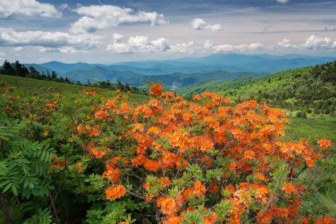 This Overnight Hike In Tennessee Is One Of The Coolest Things You'll Do This Summer