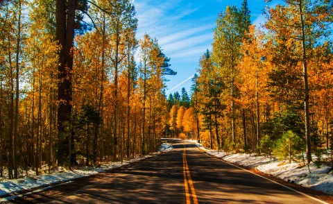 This Dreamy Road Trip Will Take You To The Best Fall Foliage In All Of Nevada