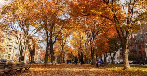 2017 Might Be The Best Year Ever For Fall Foliage In Massachusetts