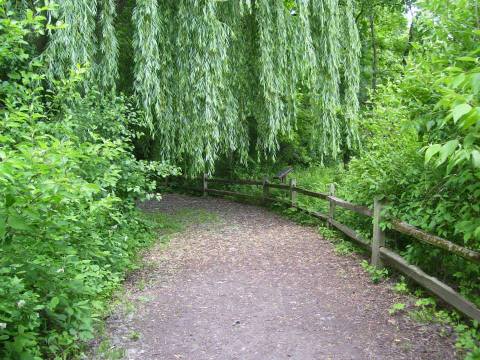 The Hiking Trail Hiding In Chicago That Will Transport You To Another World