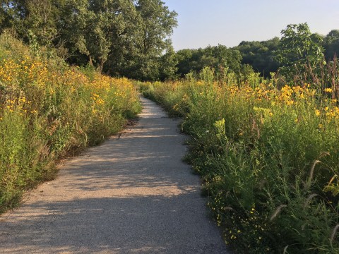 This One Easy Hike In Milwaukee Will Lead You Someplace Unforgettable