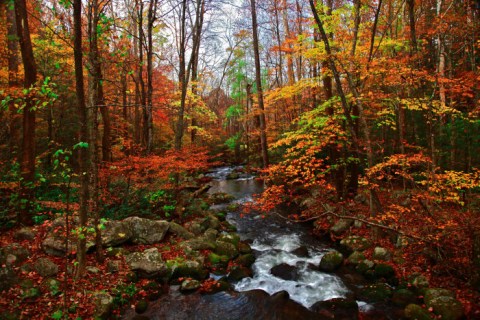 16 Picture Perfect Fall Day Trips To Take In Tennessee