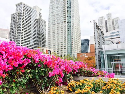 Most People Overlook This Charming Park In The Heart Of San Francisco