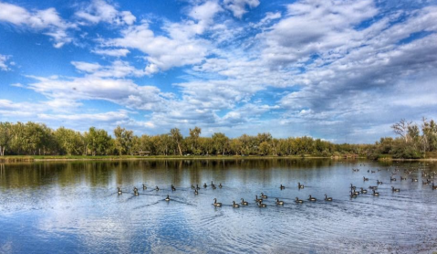 The Enchanting Waterfront Montana Park You Never Knew Existed