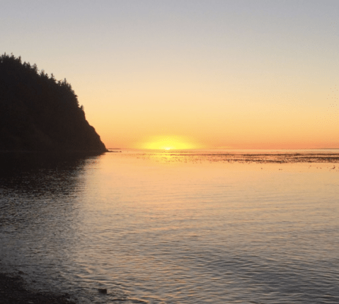 The Washington Beach That’s Unlike Any Other In The World