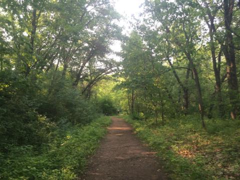 Escape The City With This Scenic Minneapolis Countryside Hike