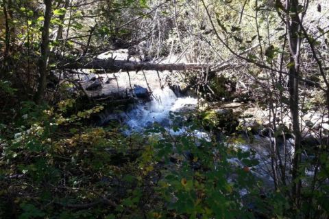 6 Hidden, Breathtaking Waterfalls To Discover In New Mexico