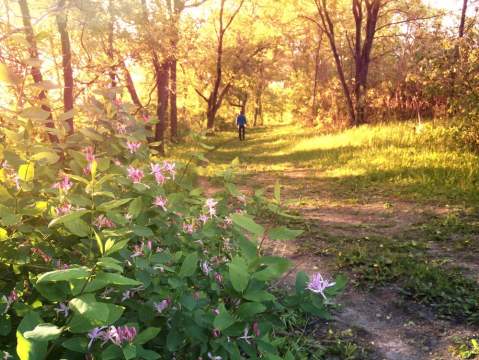 The Hiking Trail Near Minneapolis That Will Transport You To Another World