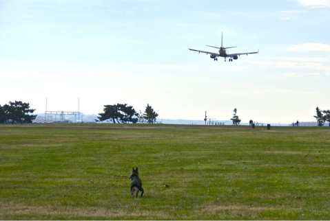 You Can Watch Planes Land At This Underrated Park In Washington DC