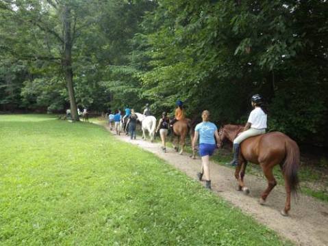 Most People Don't Know There's A Hidden Horseback Riding Trail Right In The Middle of DC