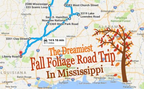 This Dreamy Road Trip Will Take You To The Best Fall Foliage In All Of Mississippi