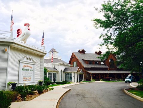 You'll Love This Amazing Colorado Restaurant That Also Has A Petting Zoo