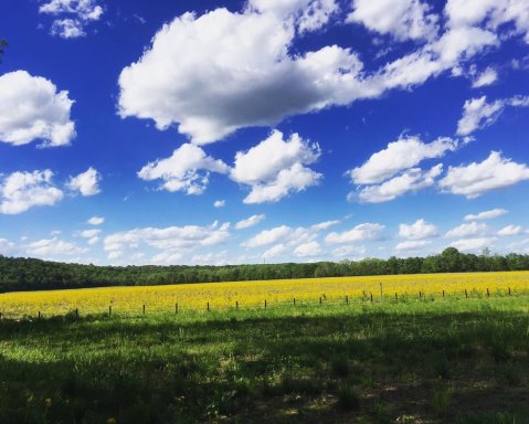 One Of Kentucky's Newest Parks Is Incredible And You'll Want To Visit