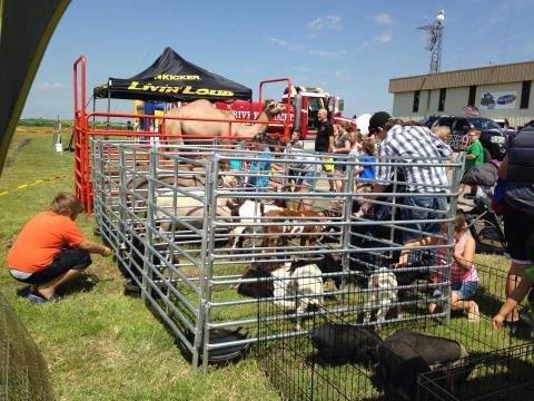 You'll Never Forget Your Trip To The Largest Petting Zoo In Oklahoma