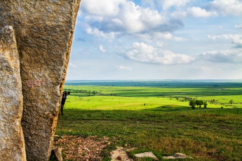 It's Impossible Not To Love This Breathtaking Wild Flower Trail In Kansas