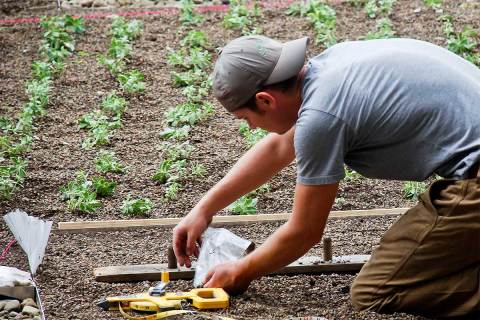 Almost Nobody Knows This Secret Rooftop Garden In Nebraska Even Exists