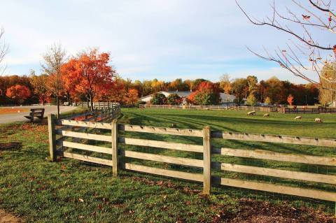 Most People Have No Idea This Unique Farmpark Near Cleveland Even Exists