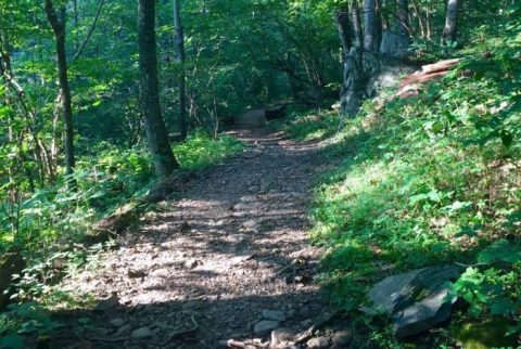 The Hike In Virginia That Takes You To Not One, But TWO Insanely Beautiful Waterfalls