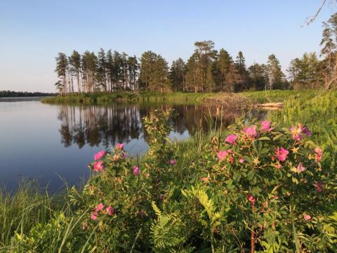 9 Nature Preserves In Michigan That Are Perfect For A Summer Afternoon