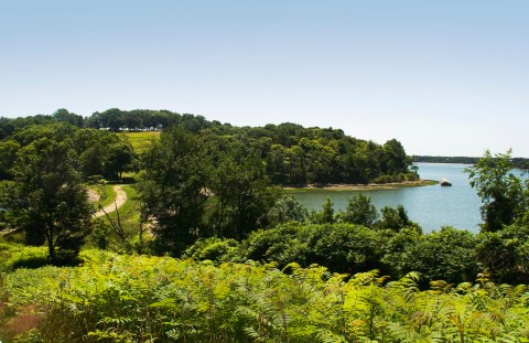 The Hiking Trail Hiding Near Boston That Will Transport You To Another World