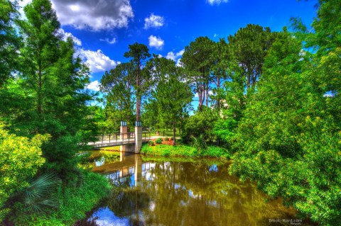 9 Picture Perfect Fall Day Trips To Take Around New Orleans