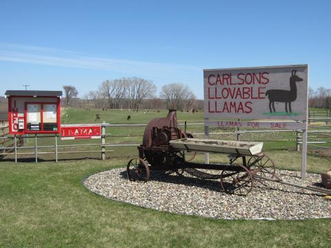 A Visit To This Farm In Minnesota Will Be The Most Unique Experience You Have All Year