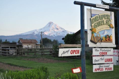 This Charming Cider Mill Near Portland Will Make Your Fall Complete