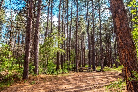 The Secluded Campground In Nebraska That Will Take You A Million Miles Away From It All