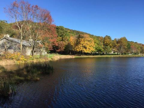 The Hidden Restaurant In Virginia That's Surrounded By The Most Breathtaking Fall Colors