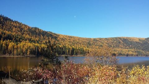 The Hidden Restaurant In Montana That's Surrounded By The Most Breathtaking Fall Colors