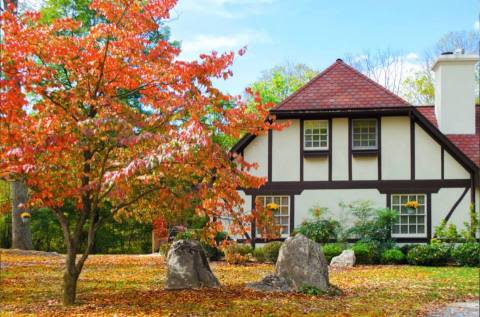 The Hidden Restaurant In West Virginia That's Surrounded By The Most Breathtaking Fall Colors