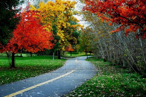 10 Picture Perfect Fall Day Trips To Take In Idaho