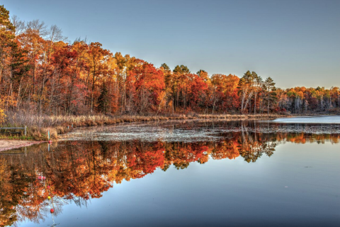 The Hidden Restaurant In Minnesota That's Surrounded By The Most Breathtaking Fall Colors