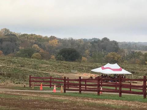 These 4 Charming Pumpkin Patches In Delaware Are Picture Perfect For A Fall Day