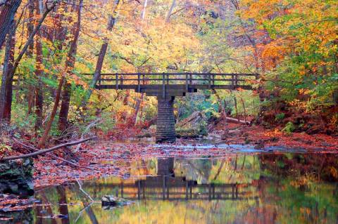 Here Is The Most Incredible Natural Wonder Hiding Near Cincinnati