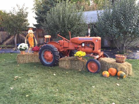 6 Harvest Festivals In Montana That Will Make Your Autumn Awesome