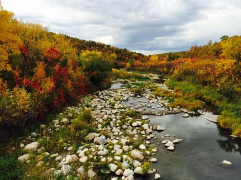 Here Are The Best Times And Places To View Fall Foliage In North Dakota