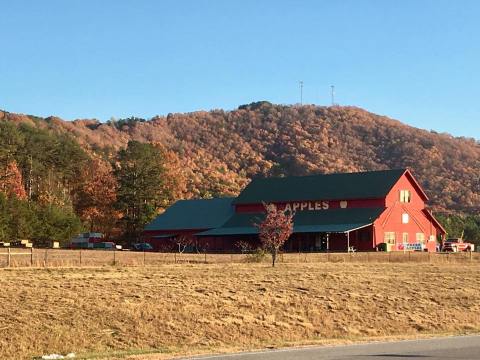 12 Picture Perfect Fall Day Trips To Take In Georgia