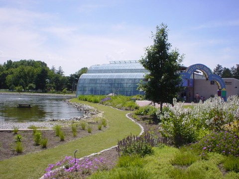 You’ll Want To Plan A Day Trip To St. Louis's Magical Butterfly House