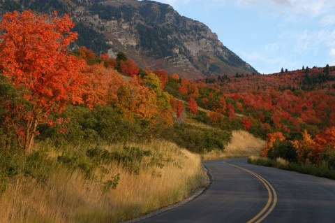 This Dreamy Road Trip Will Take You To The Best Fall Foliage In All Of Utah