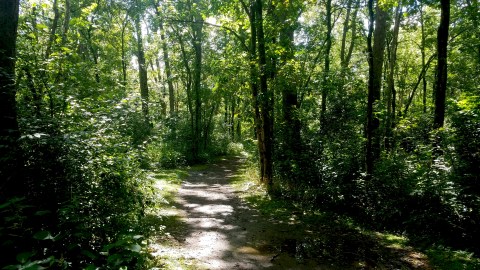 The Hiking Trail Hiding In Columbus That Will Transport You To Another World