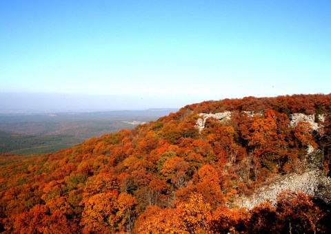 Here Are The Best Times And Places To View Fall Foliage In Arkansas