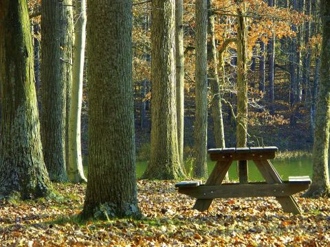 The One Hikeable Lake In Indiana That's Simply Breathtaking In The Fall