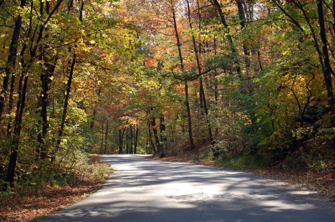 The Hiking Trail Hiding In Louisville That Will Transport You To Another World