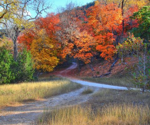 5 Short And Sweet Fall Hikes In Texas With A Spectacular End View